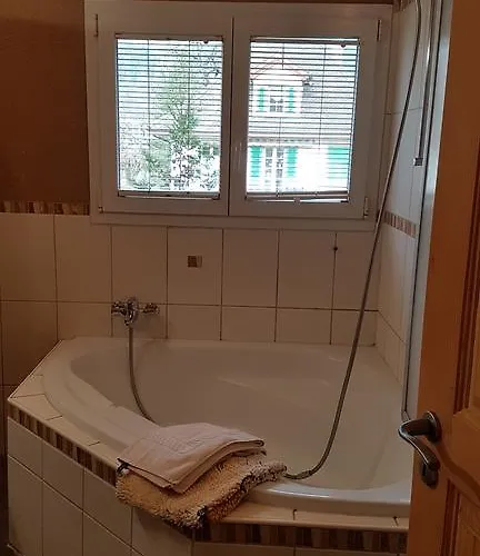 Jani's Holiday Interlaken